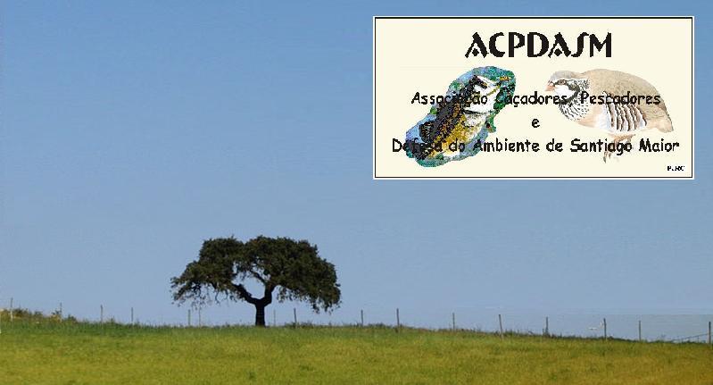 ACPDASM 